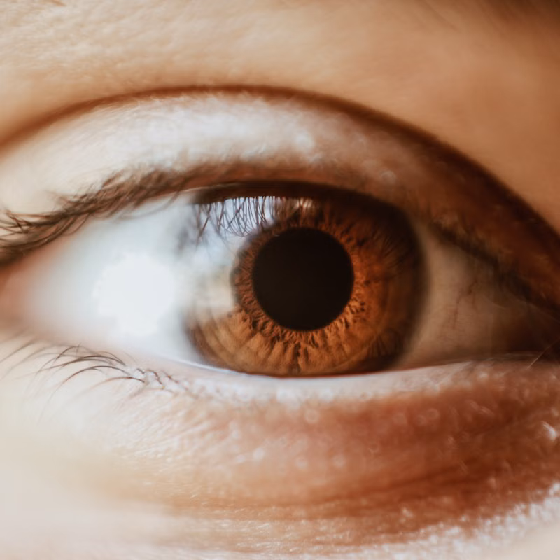 Close-up of brown eye